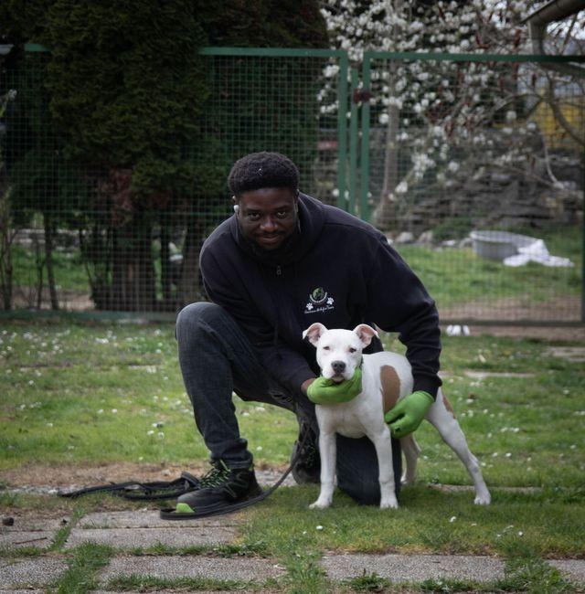 Temi